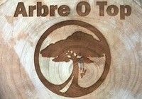 ARBRE O TOP - Espace vert/Paysagiste - Élagage / travaux en hauteur  - iBat.nc