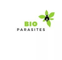 Bio Parasites Nettoyage - Désinsectisation - Nettoyage - Peintre en batiment - iBat.nc
